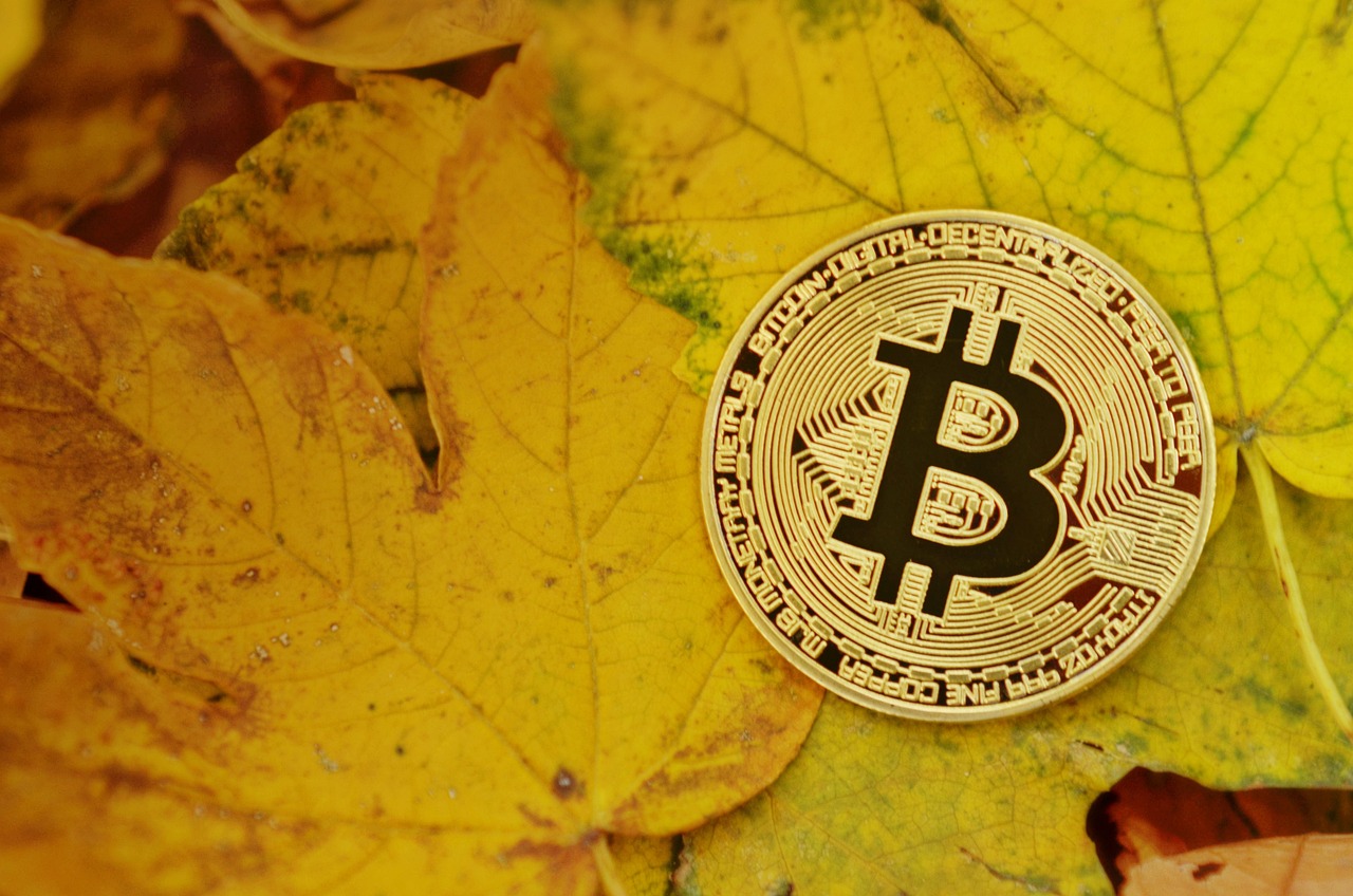 美商务部长之子Brandon联合Tether、软银及Bitfinex成立21 Capital！注资比特币 挑战微策略